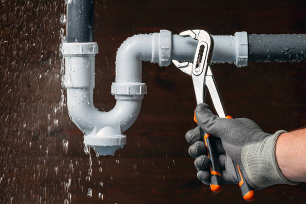 Professional Plumbing technician working in Warda, TX